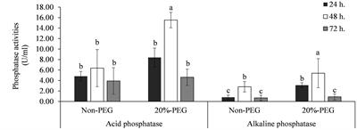 Promoting growth and production of sunchoke (Helianthus tuberosus) by co-inoculation with phosphate solubilizing bacteria and arbuscular mycorrhizal fungi under drought